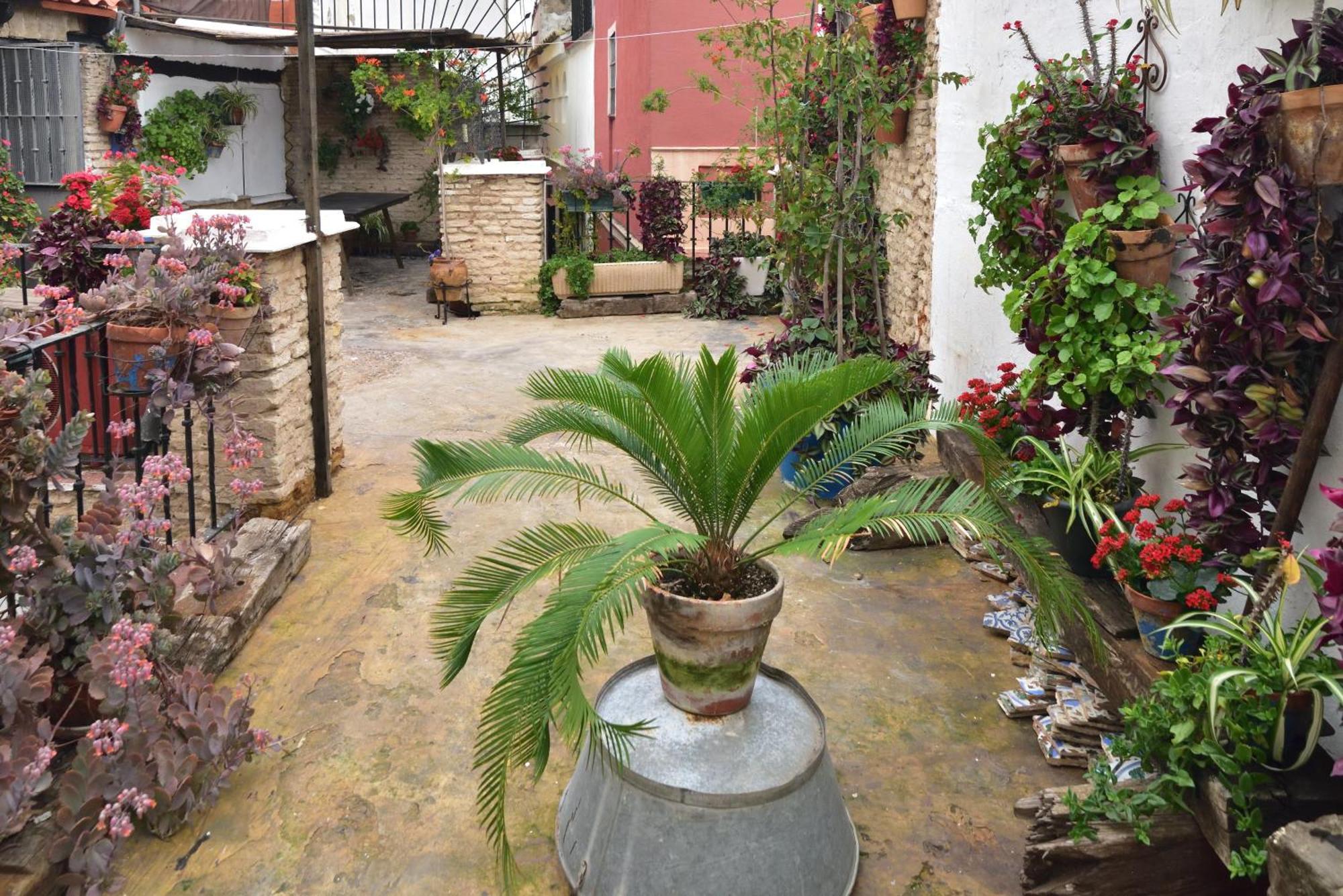 Casa Tenorio Barrio De Santa Cruz Sevilla Exteriör bild