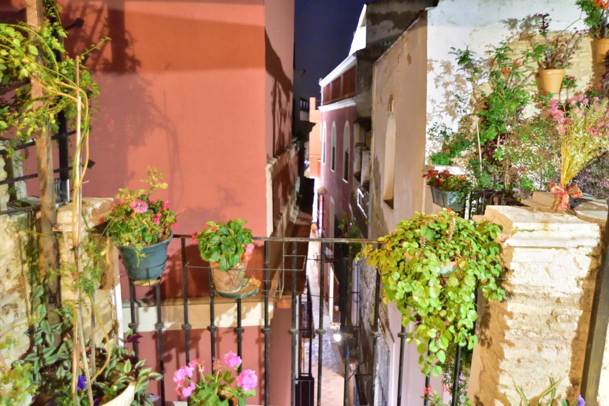 Casa Tenorio Barrio De Santa Cruz Sevilla Exteriör bild